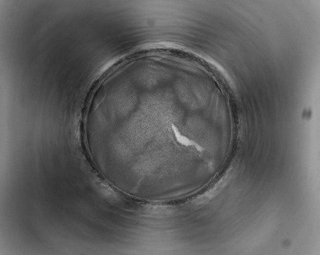 X0000102500921200808221750