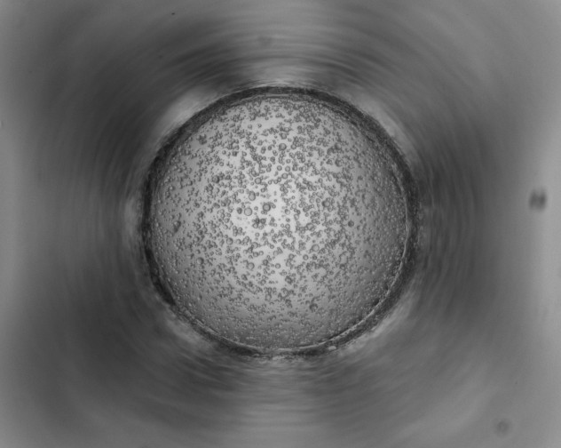 X0000102500922200808221750