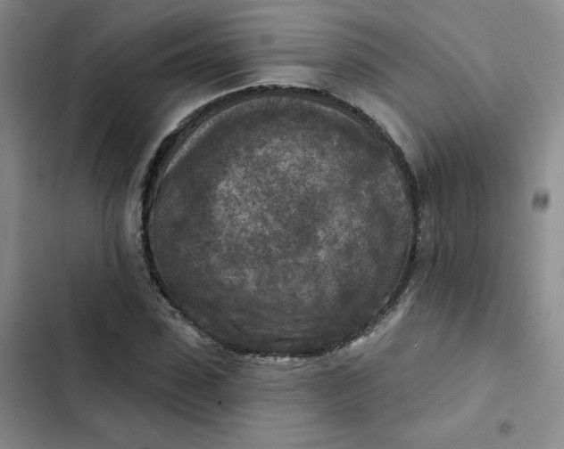 X0000102500923200808221750