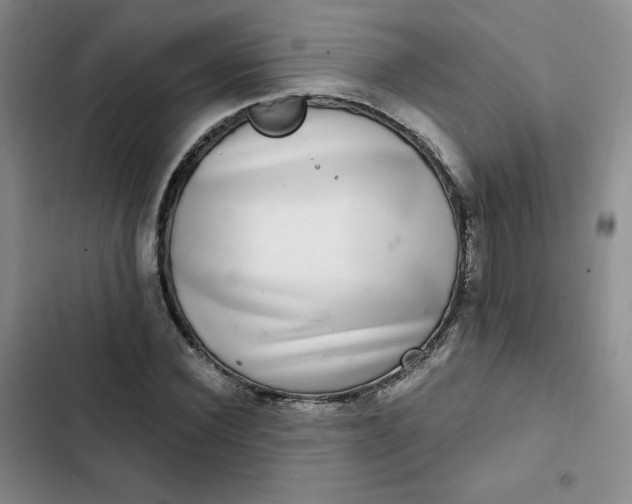 X0000102500924200808221750