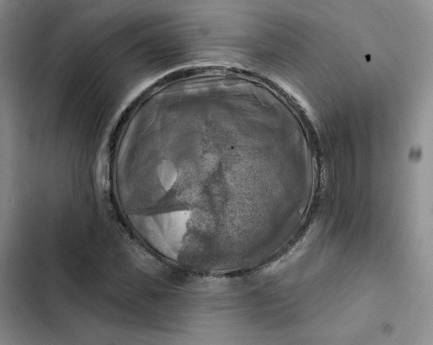 X0000102500925200808221750