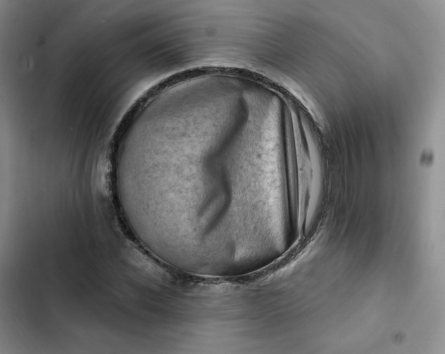 X0000102500926200808221750