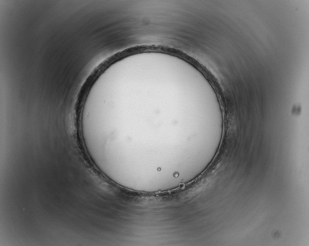 X0000102500927200808221750