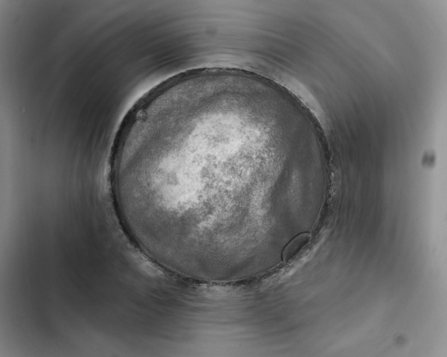 X0000102500928200808221750