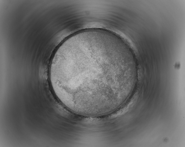 X0000102500929200808221750