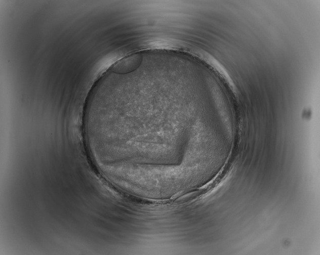 X0000102500930200808221750