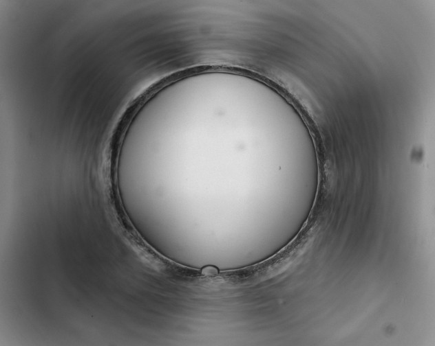 X0000102500931200808221750