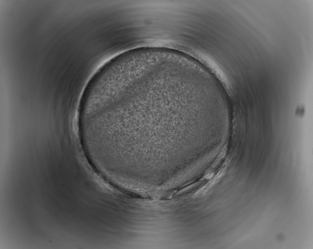 X0000102500932200808221750