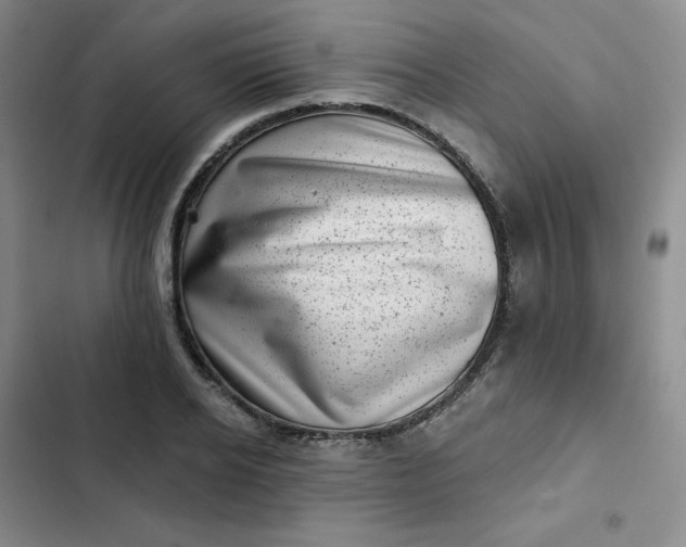 X0000102500934200808221750