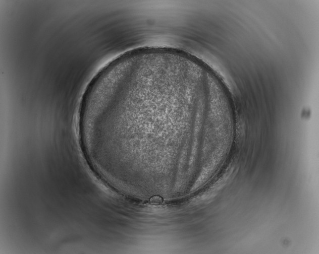 X0000102500935200808221750