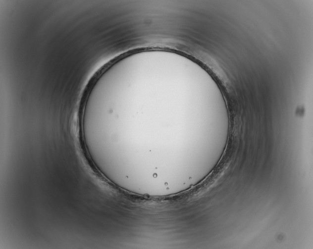 X0000102500936200808221750