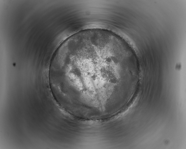 X0000102500937200808221750