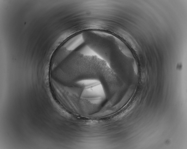 X0000102500938200808221750