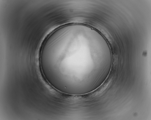 X0000102500939200808221750