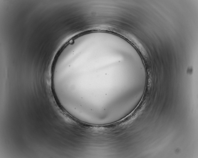 X0000102500940200808221750