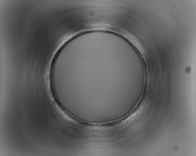 X0000102500941200808221750