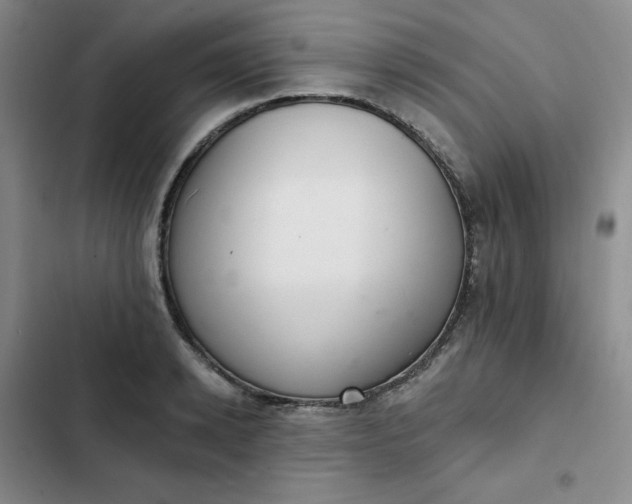 X0000102500942200808221750