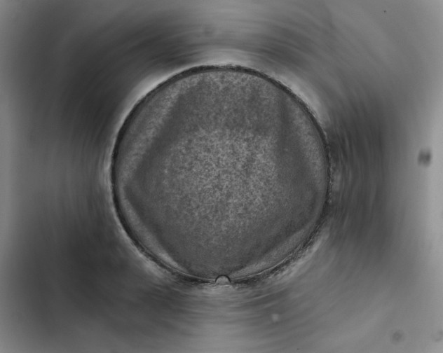 X0000102500943200808221750