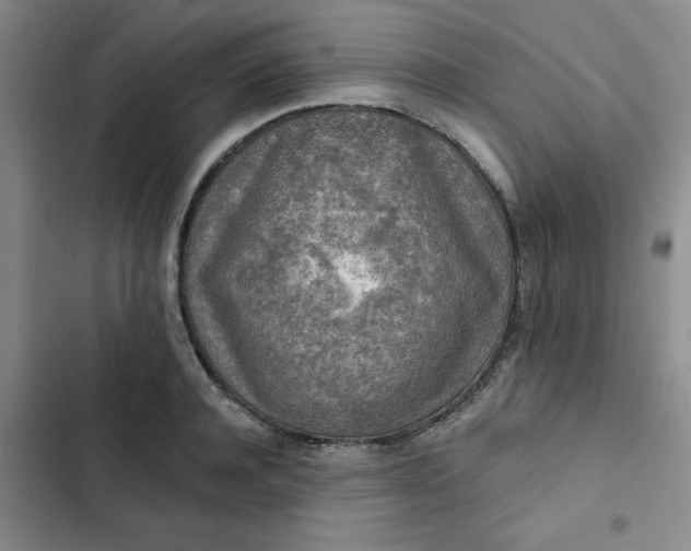 X0000102500944200808221750