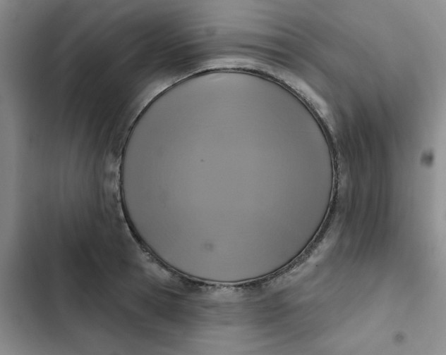 X0000102500945200808221750