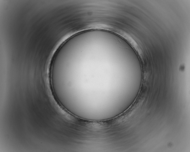 X0000102500947200808221750