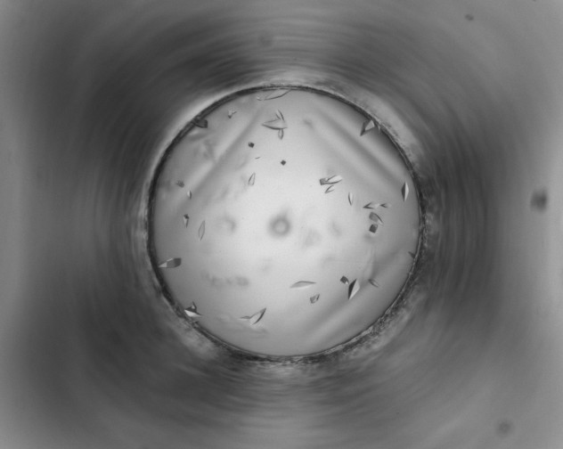 X0000102500948200808221750