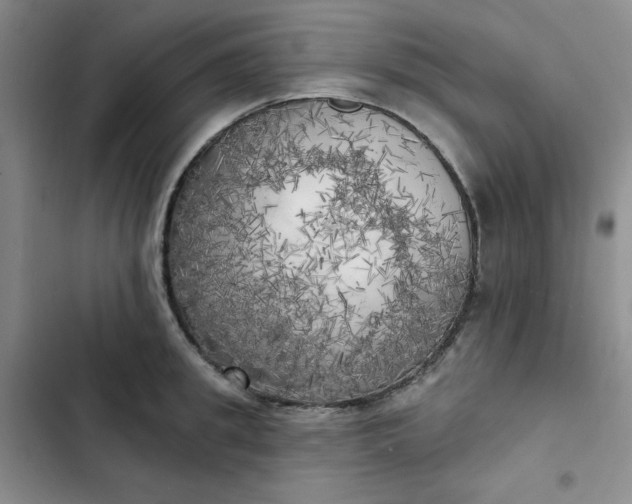 X0000102500949200808221750