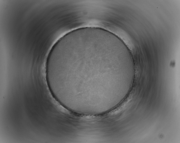 X0000102500950200808221750