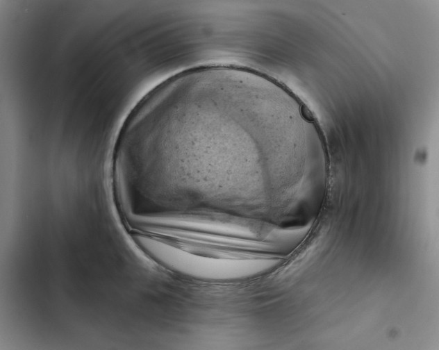 X0000102500951200808221751