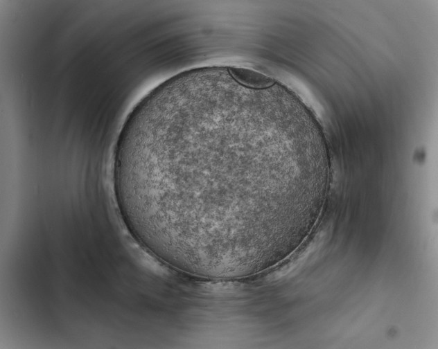 X0000102500952200808221751