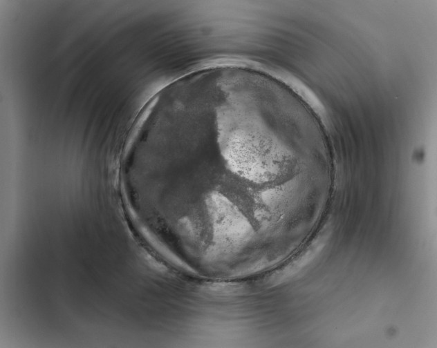 X0000102500953200808221751