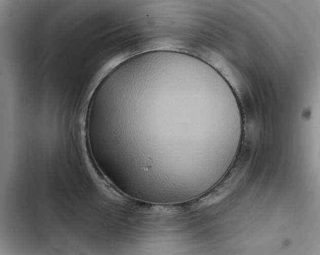 X0000102500954200808221751