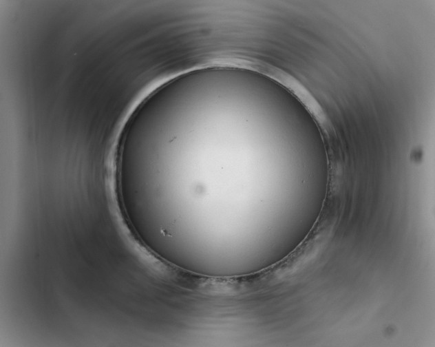 X0000102500955200808221751