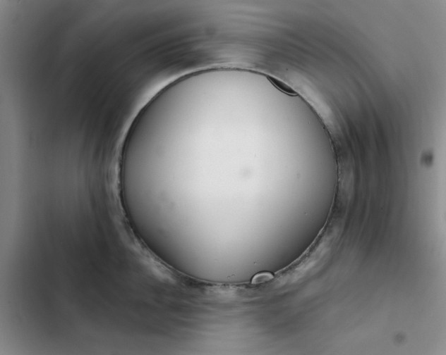 X0000102500956200808221751