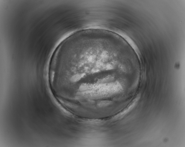 X0000102500957200808221751