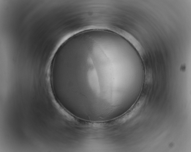 X0000102500958200808221751