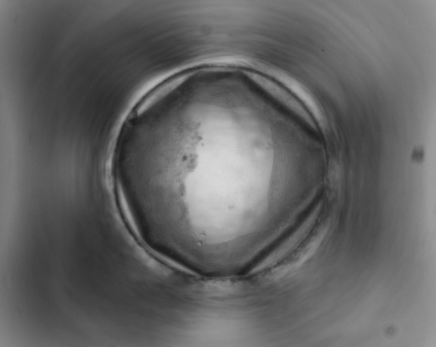 X0000102500959200808221751