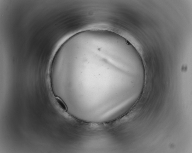 X0000102500960200808221751