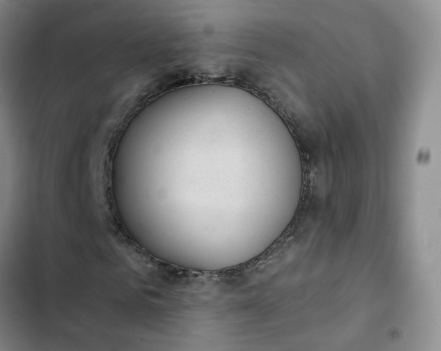 X0000102500961200808221750