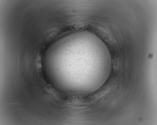 X0000102500962200808221750