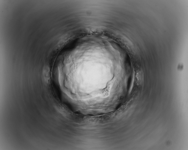 X0000102500963200808221750