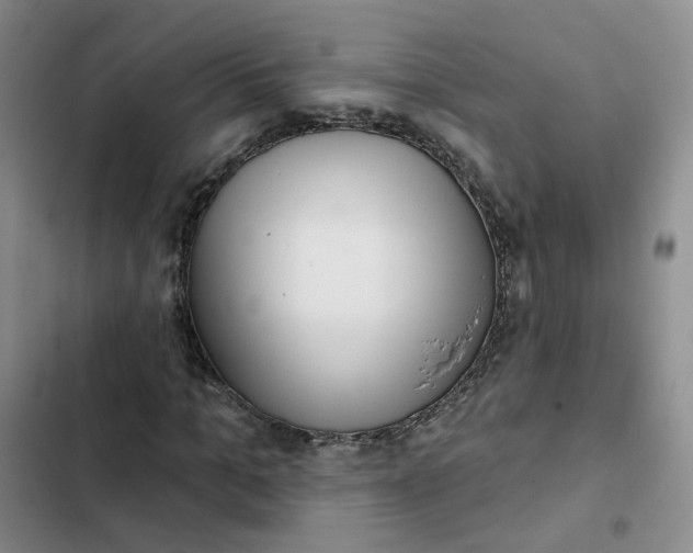 X0000102500965200808221750