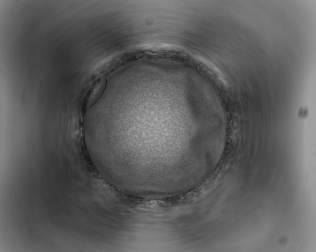 X0000102500966200808221750