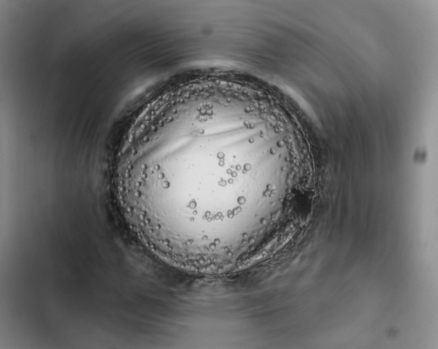 X0000102500967200808221750