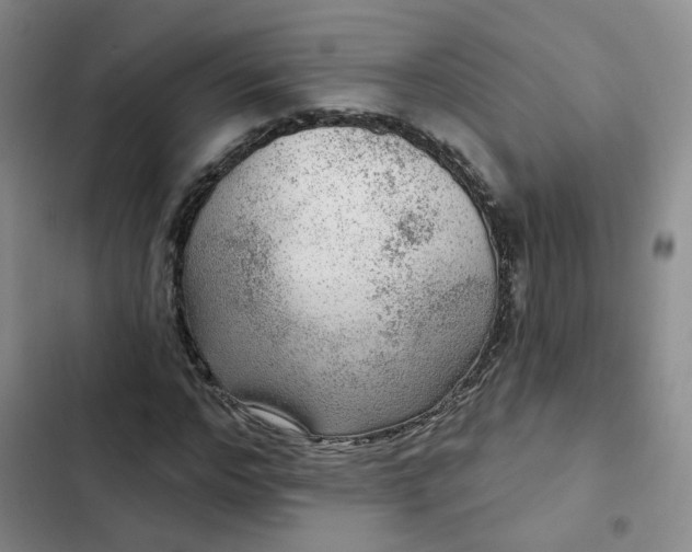 X0000102500968200808221750