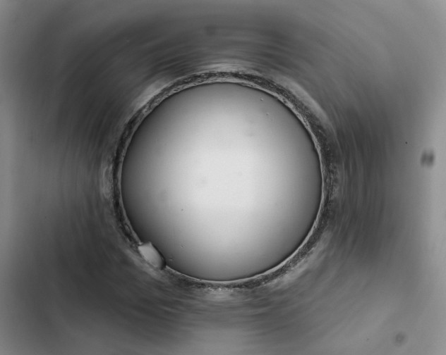 X0000102500969200808221750