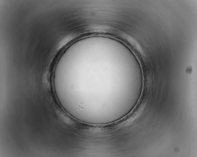 X0000102500970200808221750