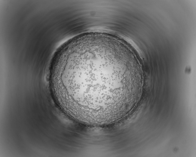 X0000102500971200808221750