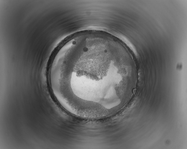 X0000102500972200808221750