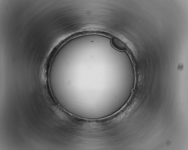 X0000102500973200808221750